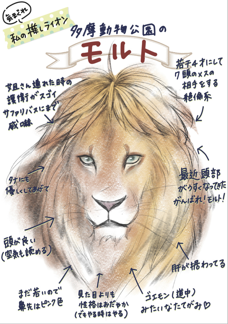 Illustration&more Box [POIPIKU] - illustrations of '#lion'
